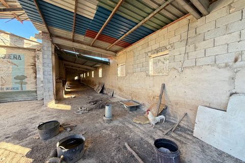 Farm i Planes, Alicante, Planes - € 620.000 | Ref: 10291 - foto 24